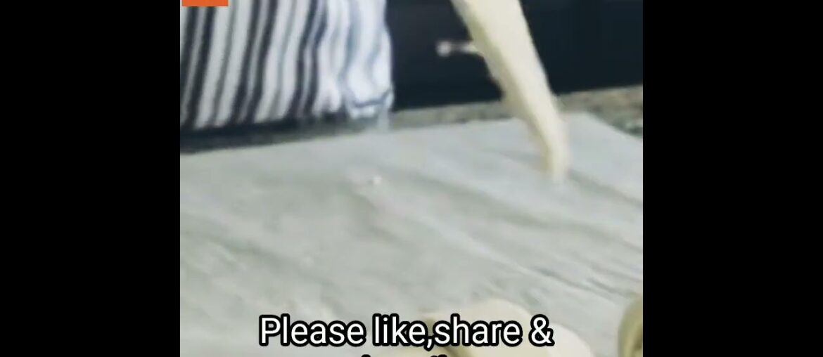 #shorts #youtubeshorts Making of French Croissant @simmering curry