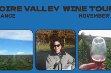 LOIRE VALLEY WINE TOUR - FR
