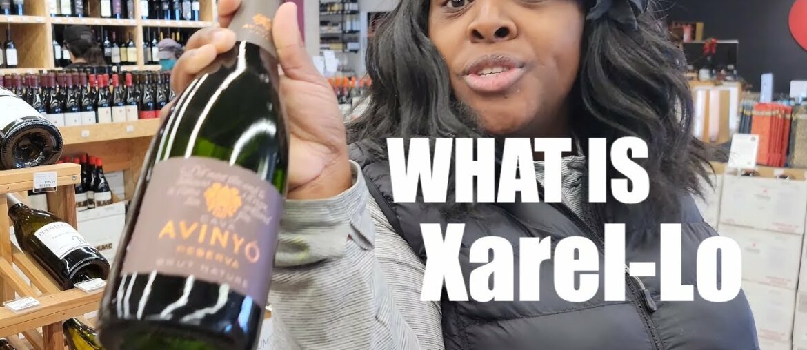 How to Pick Champagne Like a Boss …without a Boss Bank Account!! #sparklingwine #prosecco How to Pick Champagne Like a Boss ...without a Boss Bank Account!! #sparklingwine #prosecco