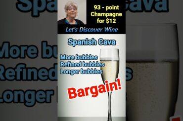93-point true champagne for $12 @Let's Discover Wine 109m 109 m #wine #cava #sparkling wine #shorts