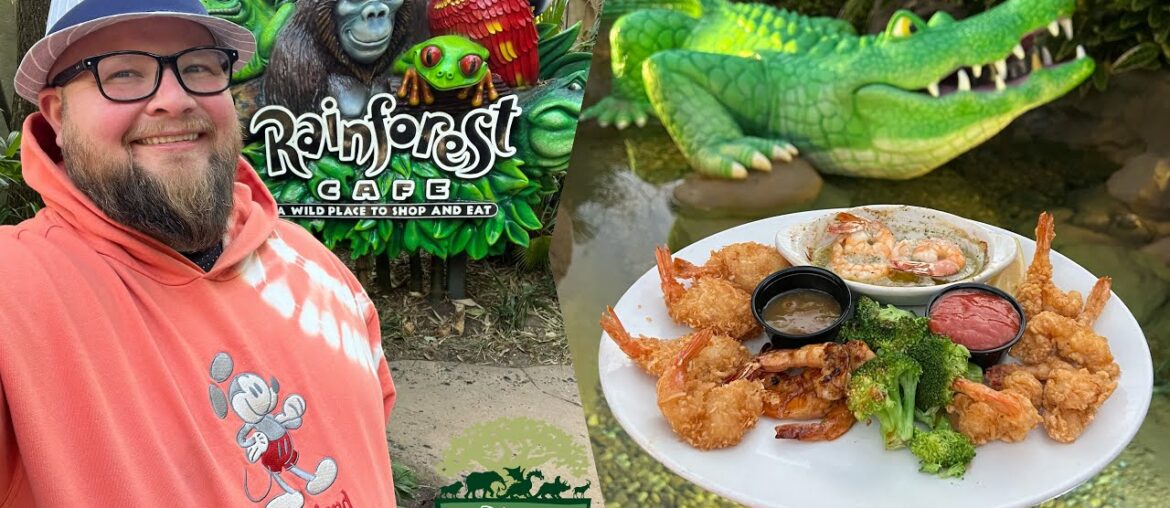 Disney’s Animal Kingdom | Eating At Rainforest Cafe & Holiday Crowd Levels | Walt Disney World 2023 Disney’s Animal Kingdom | Eating At Rainforest Cafe & Holiday Crowd Levels | Walt Disney World 2023