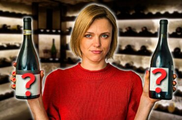 5 Great Age-Worthy RED WINES (For Your Wine Cellar)