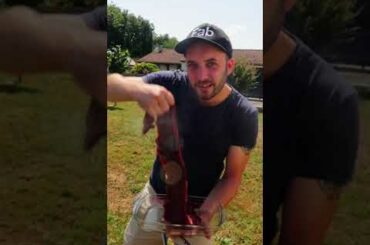 Flank Steak Before French Wine Road Trip #shorts