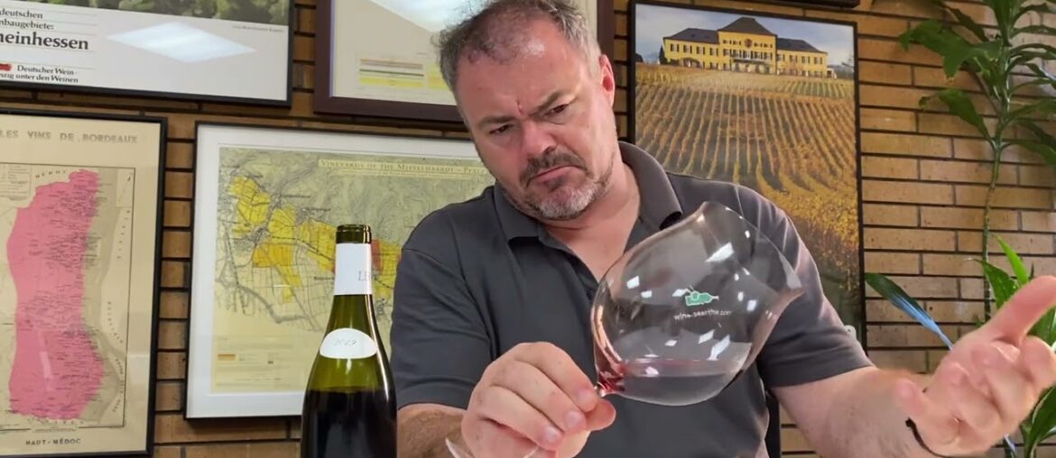 Wine Review: Maison Leroy Bourgogne Gamay 2019