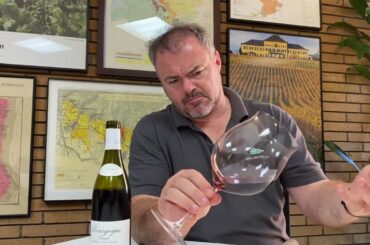 Wine Review: Maison Leroy Bourgogne Gamay 2019