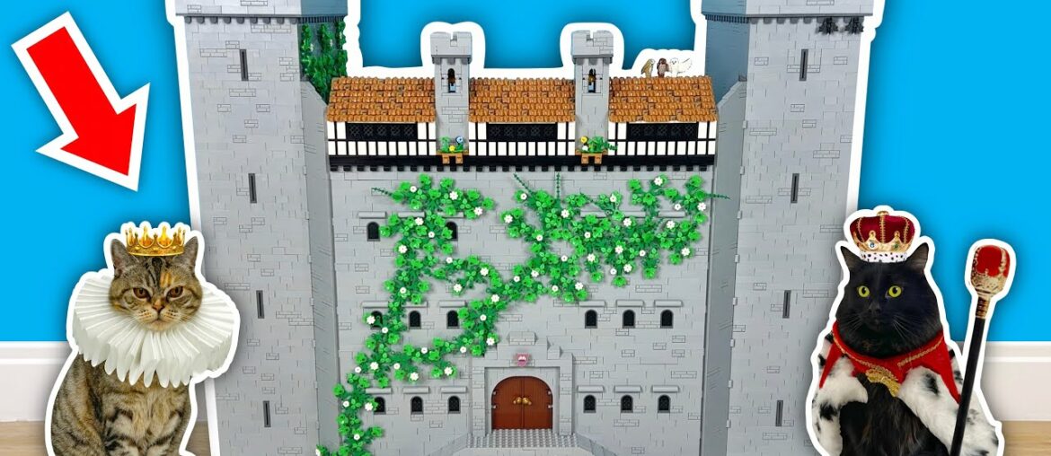 I Built a GIANT LEGO Castle For My Cats!