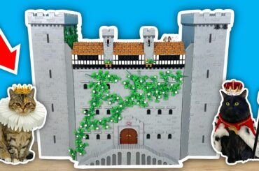I Built a GIANT LEGO Castle For My Cats!
