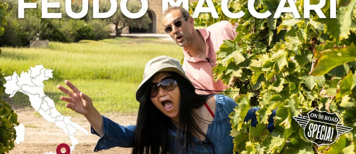 Sicilian wine, Italian vineyards by Feudo Maccari (autochthonous grapes and iconic Saia wine)