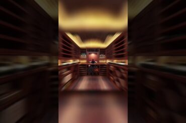 12,000 Square Foot French-Style Waterfront Mansion In Ocala, FL