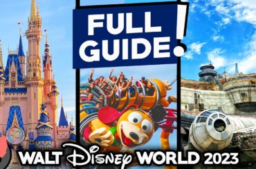 An Idiot's Guide to WALT DISNEY WORLD 2023