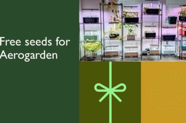 Free seeds for Aerogarden