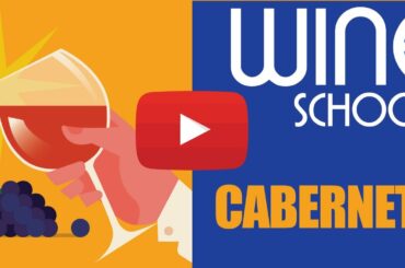 Wine School Q&A on the Cabernet Sauvignon Grape