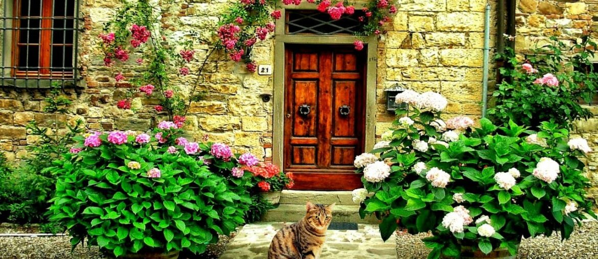 Biot – Discovering a Real Blooming Paradise – the Most Beautiful Villages in the South of France Biot - Discovering a Real Blooming Paradise - the Most Beautiful Villages in the South of France