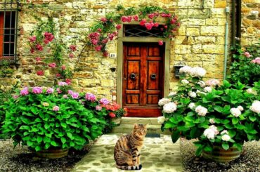 Biot - Discovering a Real Blooming Paradise - the Most Beautiful Villages in the South of France