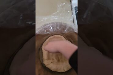 taste of home crusty French bread - basic, but tasty!