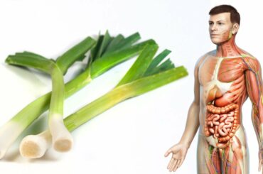 Why The French Season Their Food With This Amazing Plant