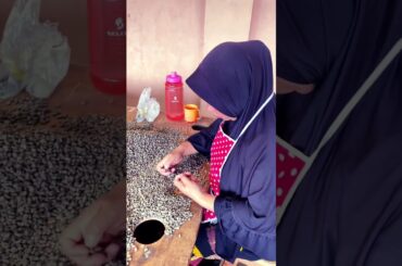 Hand sorting specialty coffee in Sumatra