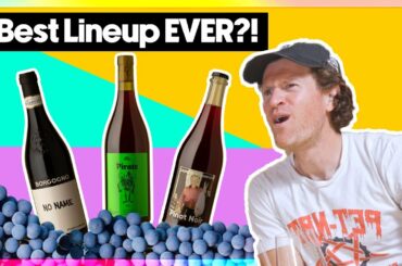 NEXT LEVEL Wine BARGAINS For The New Year... | Blind Wine Reviews