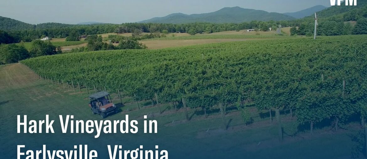 Winemakers Give a Tour of Hark Vineyards Winemakers Give a Tour of Hark Vineyards