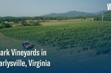 Winemakers Give a Tour of Hark Vineyards