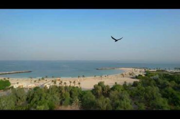 DRONE MAMZAR PARK DUBAI