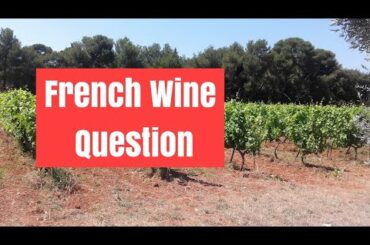 French village visit French Vineyard Ancient French Wine