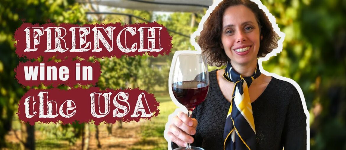 The French wine consumption and how I select a GOOD wine The French wine consumption and how I select a GOOD wine