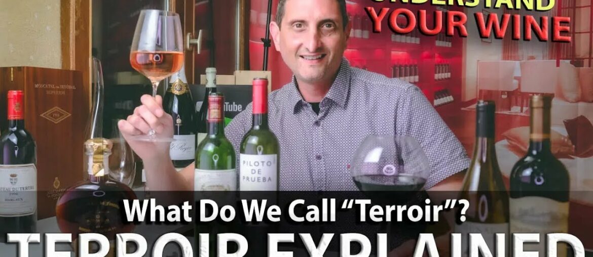 What is Terroir in Wine? An Essential Wine Concept Explained!