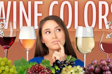 Colors of Wine Explained