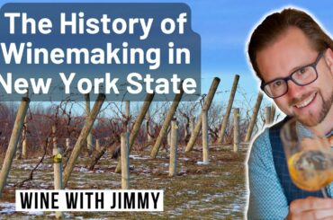 The History of Winemaking in New York for WSET Level 4 Diploma