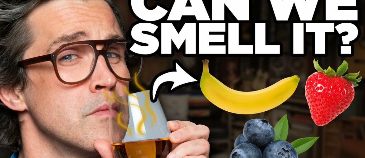 Can We Smell Which Fruit This Wine Is Made From? Can We Smell Which Fruit This Wine Is Made From?