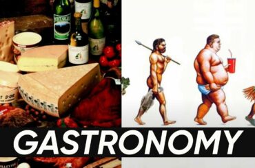 What is Gastronomy?
