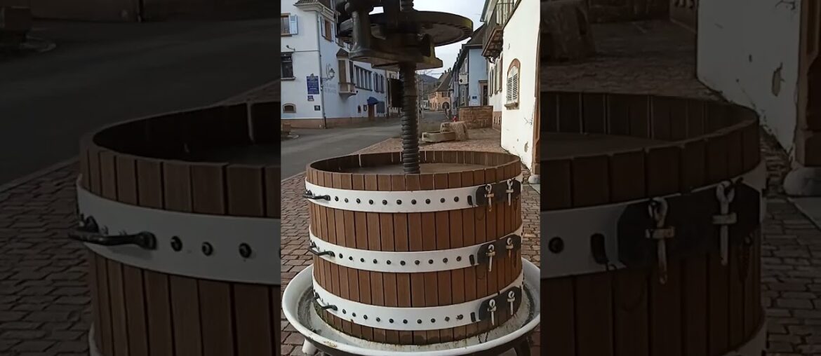 I visit a French  artist in his wine producing village