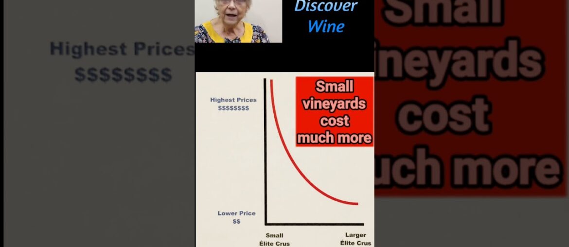 Smaller Crus are More Expensive @Let's Discover Wine (104h) #Wine #FrenchWine #SmallVineyard #shorts