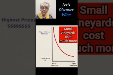 Smaller Crus are More Expensive @Let's Discover Wine (104h) #Wine #FrenchWine #SmallVineyard #shorts