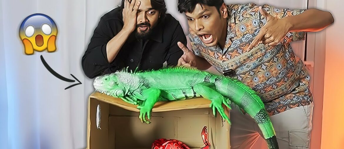 WHAT'S IN THE BOX CHALLENGE with Bhuvan Bam! WHAT'S IN THE BOX CHALLENGE with Bhuvan Bam!