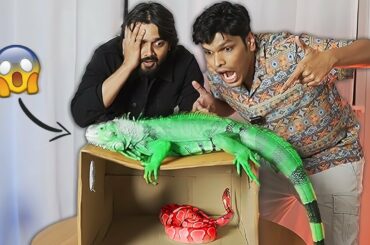 WHAT'S IN THE BOX CHALLENGE with Bhuvan Bam!