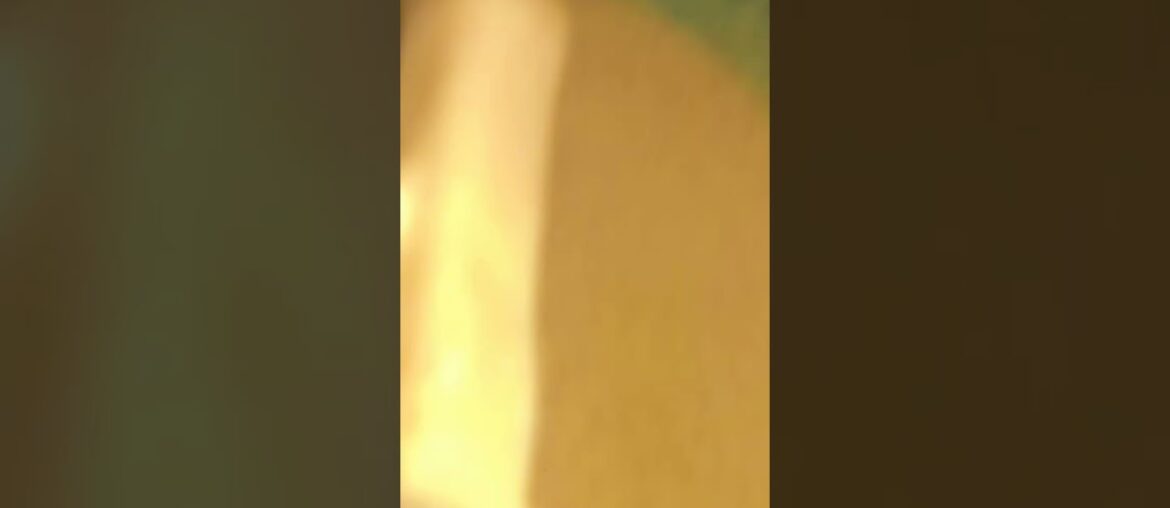 French fries pakoda recipe/ easy pakoda recipe# shorts# yt shorts# cooking shorts#