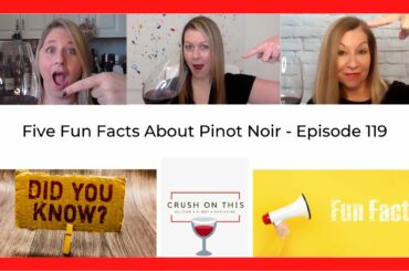 Five Fun Wine Facts About Pinot Noir - Crush On This Episode 119