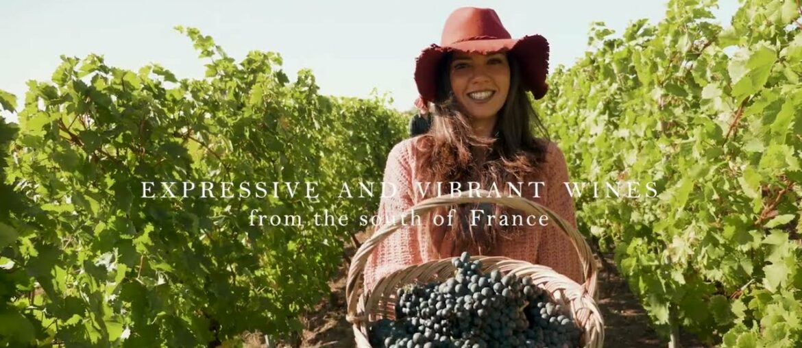 Presentation Wines and Brands