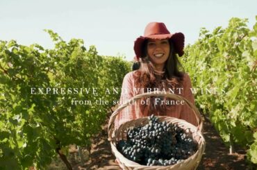 Presentation Wines and Brands