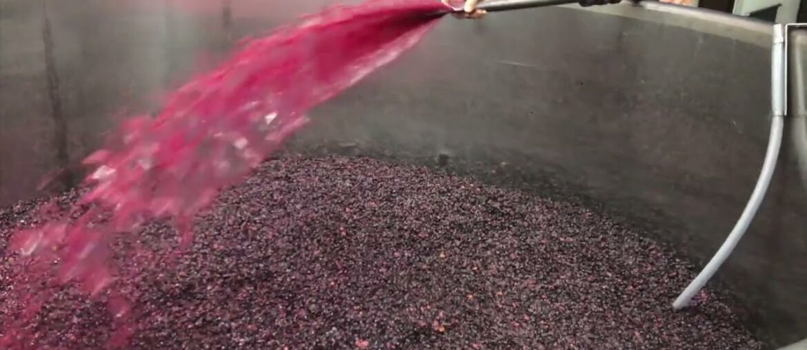 French Wine Correspondent - Bourgogne Winemaking - Wine Education Trip - Napa Valley Wine Academy