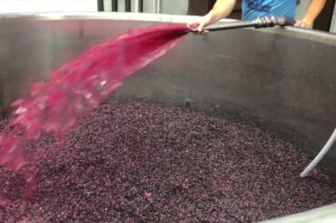 French Wine Correspondent - Bourgogne Winemaking - Wine Education Trip - Napa Valley Wine Academy