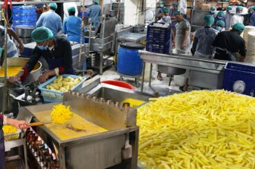 Crispy French Fries Recipe | Savour Foods French Fries | Perfect Potato Chips Recipe | Aloo Chips