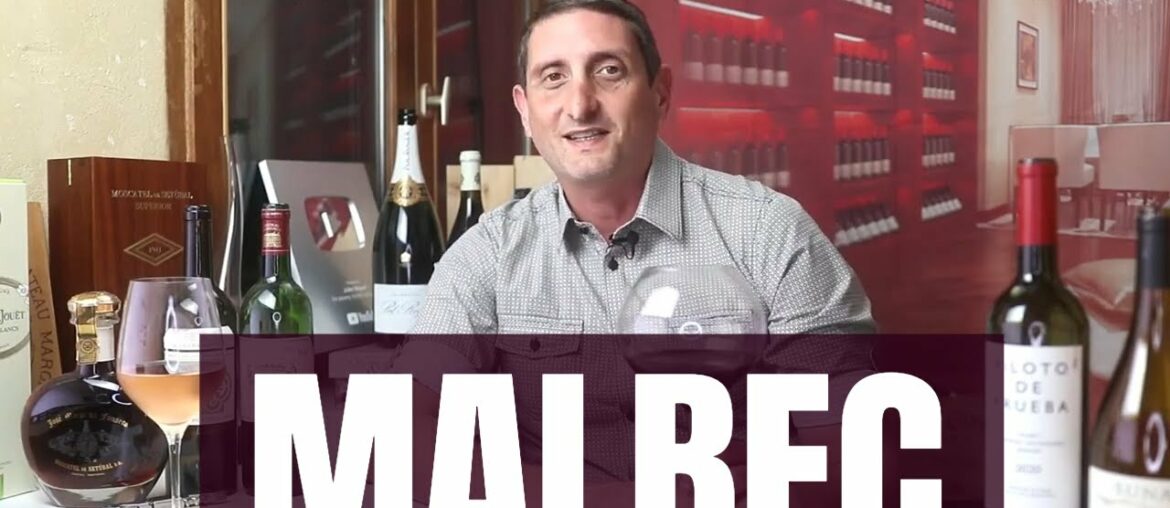 Essential Malbec Wine Facts: Malbec Argentina vs. France