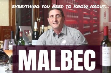 Essential Malbec Wine Facts: Malbec Argentina vs. France