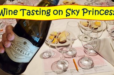Unlock the Secrets of Wine Tasting on Sky Princess with Sea Leg Journeys
