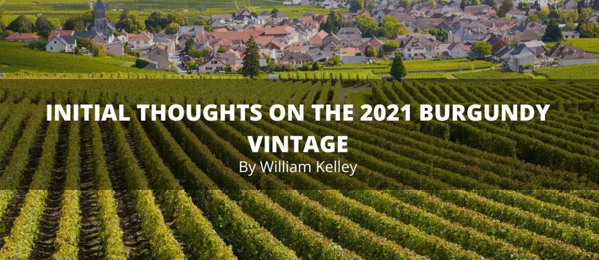First Thoughts on the 2021 Burgundy Vintage by William Kelley