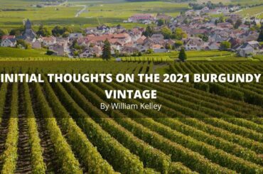 First Thoughts on the 2021 Burgundy Vintage by William Kelley
