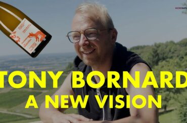 Tony Bornard | A New Vision
